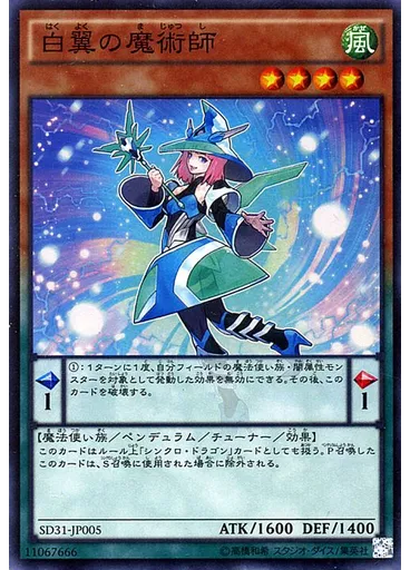 白翼の魔術師