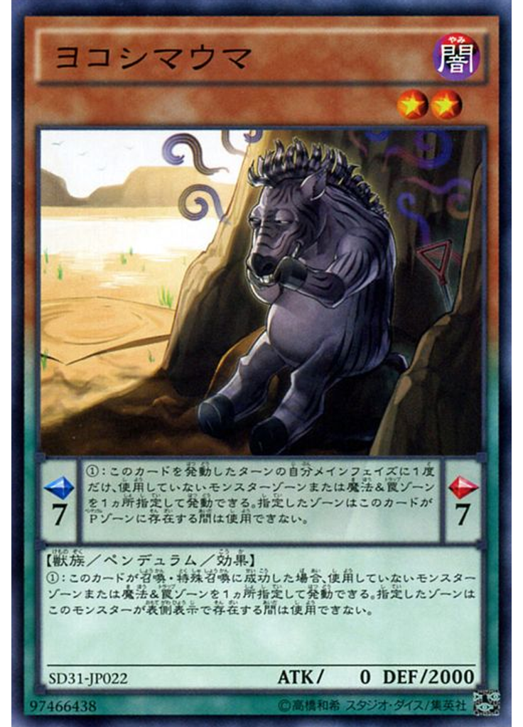 ヨコシマウマ