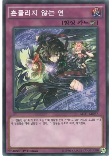 흔들리지 않는 연