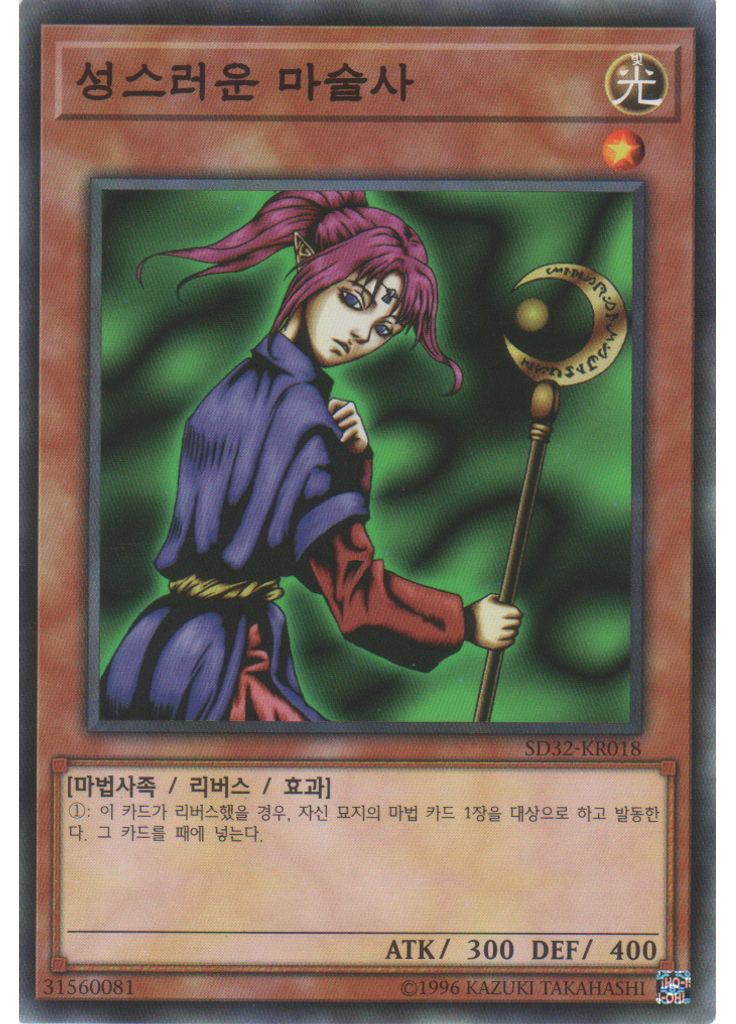 성스러운 마술사