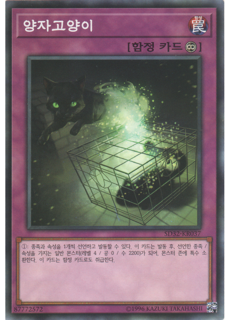 양자 고양이