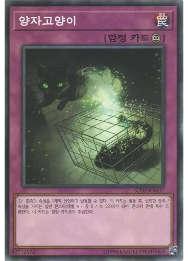 양자 고양이