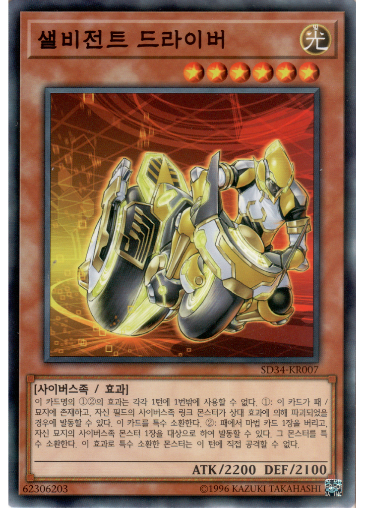 샐비전트 드라이버