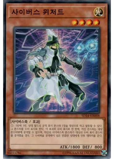 사이버스 위저드