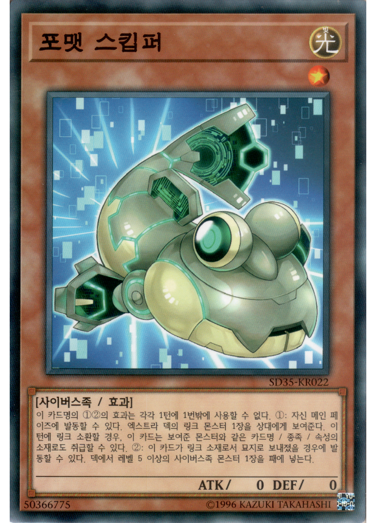 포맷 스킵퍼