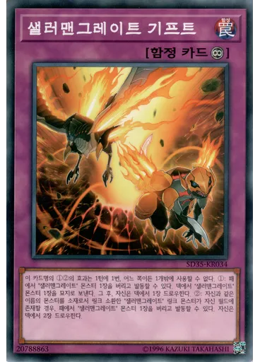 샐러맨그레이트 기프트