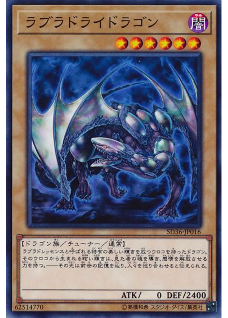 ラブラドライドラゴン