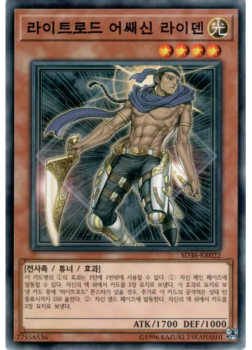 라이트로드 어쌔신 라이덴