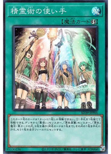 精霊術の使い手