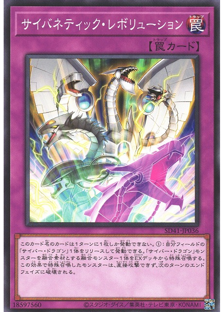 サイバネティック・レボリューション