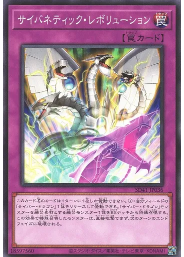サイバネティック・レボリューション