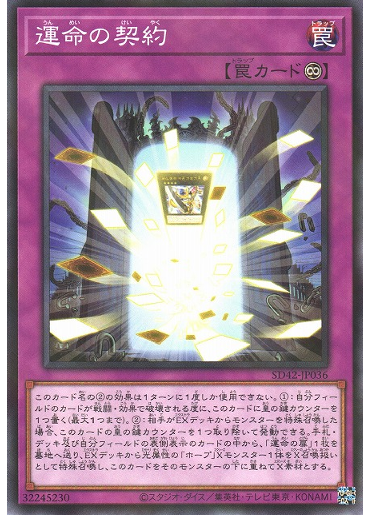 運命の契約
