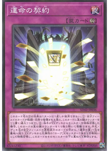 運命の契約