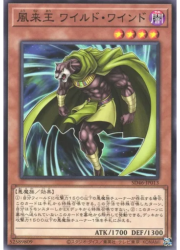 風来王 ワイルド・ワインド