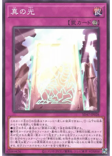 真の光