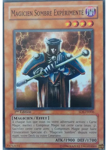 Magicien Sombre Expérimenté