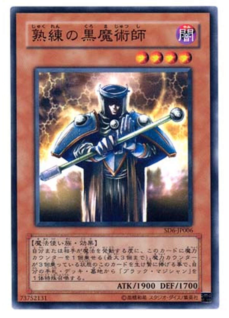 熟練の黒魔術師