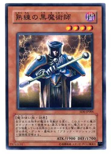熟練の黒魔術師
