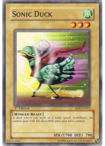 Sonic Duck