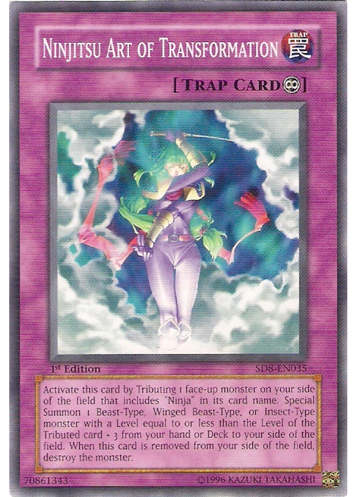 Ninjitsu Art of Transformation