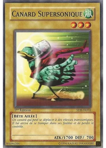 Canard Supersonique