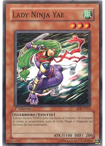 Lady Ninja Yae