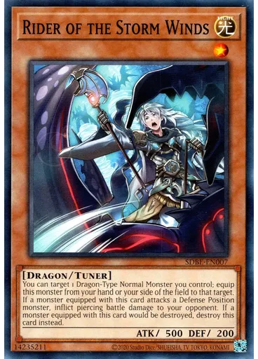 Rider of the Storm Winds (Common Unlimited Reprint)