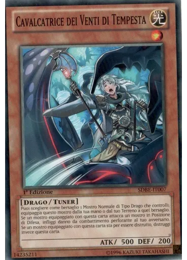 Cavalcatrice dei Venti di Tempesta