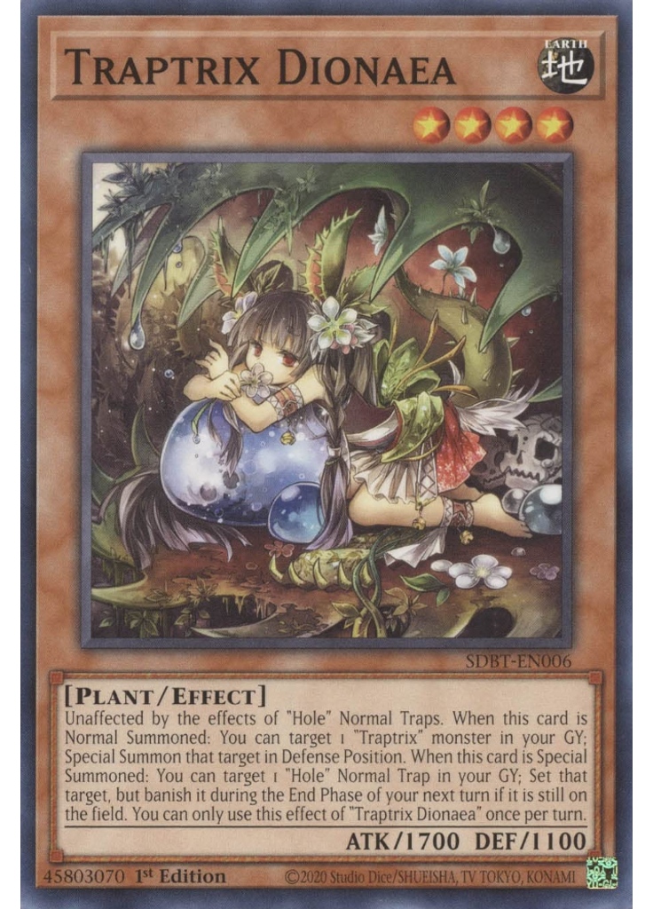 Traptrix Dionaea