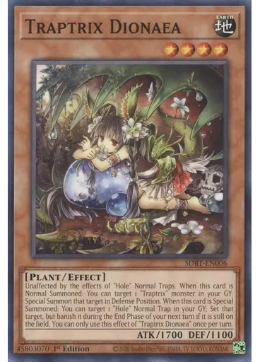 Traptrix Dionaea