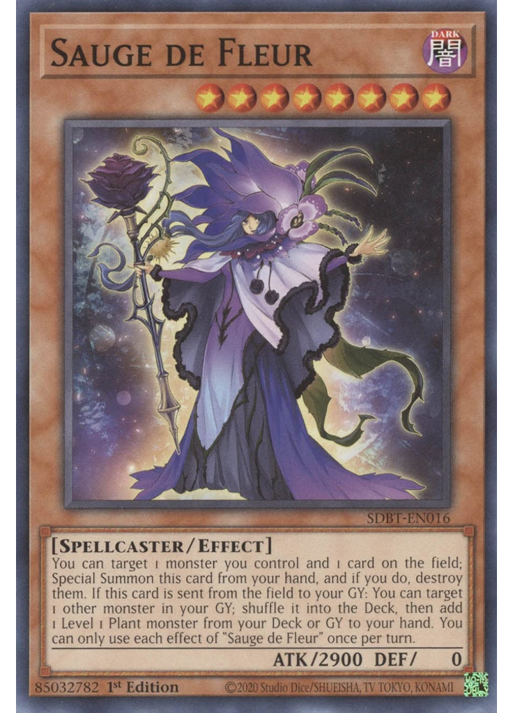 Sauge de Fleur