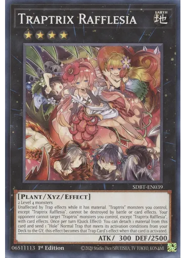 Traptrix Rafflesia
