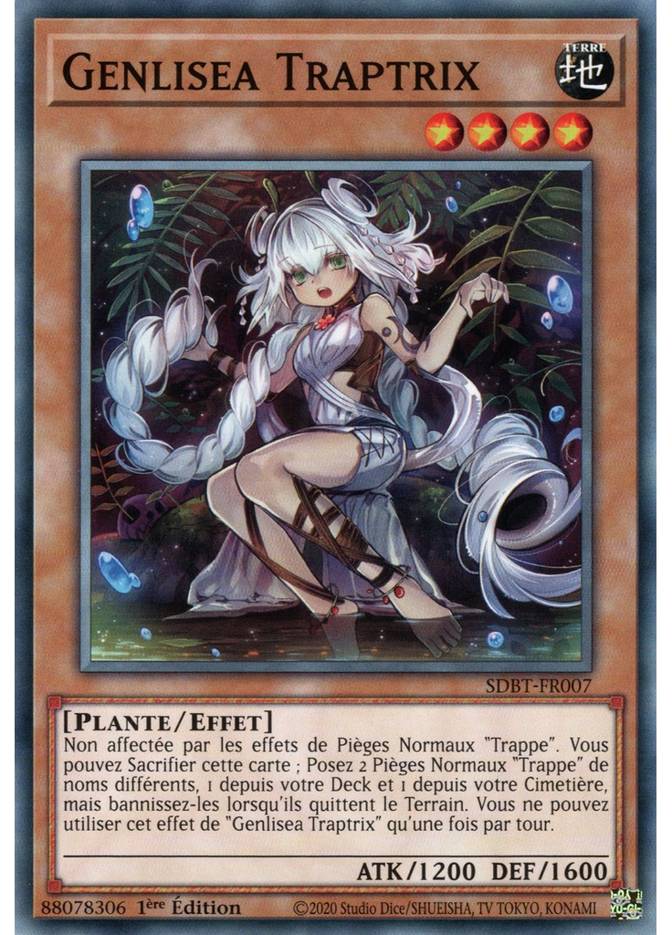 Genlisea Traptrix