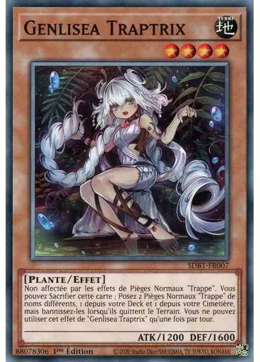 Genlisea Traptrix