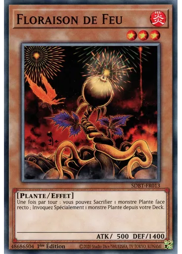 Floraison de Feu