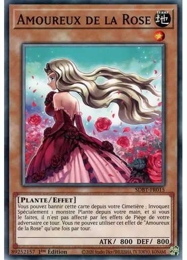 Amoureux de la Rose