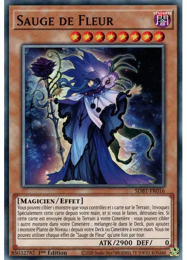 Sauge de Fleur
