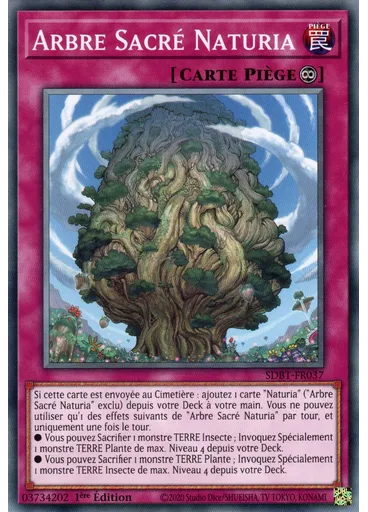 Arbre Sacrée Naturia
