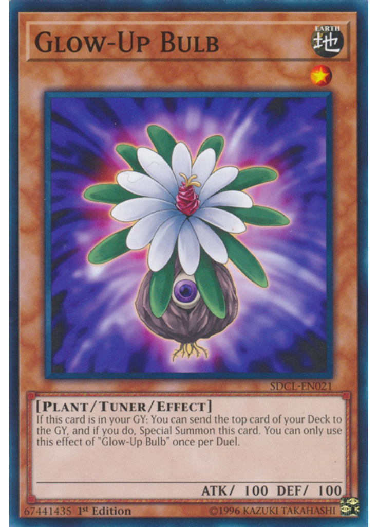 Glow-Up Bulb