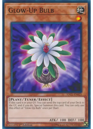 Glow-Up Bulb