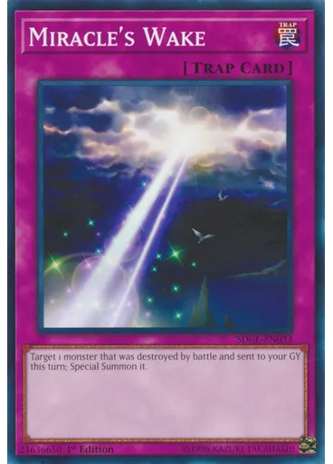 Miracle's Wake