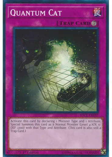 Quantum Cat