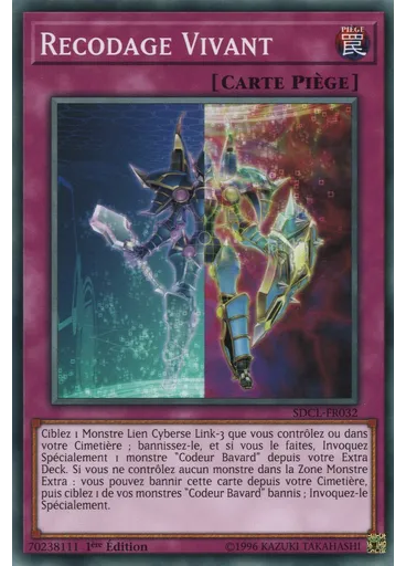 Recodage Vivant