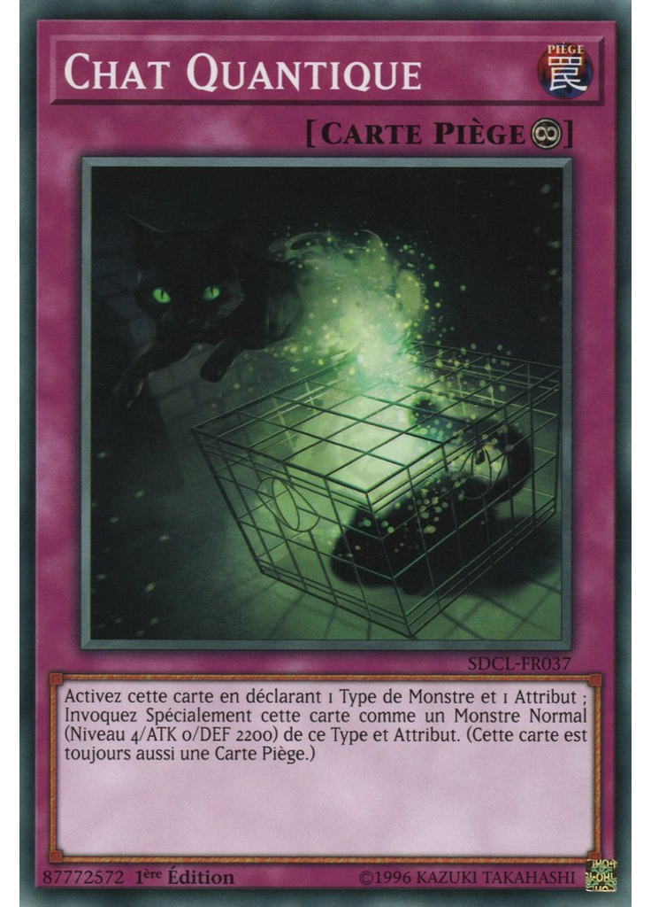 Chat Quantique