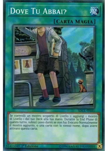 Dove Tu Abbai? — Structure Deck: Link Cyberso