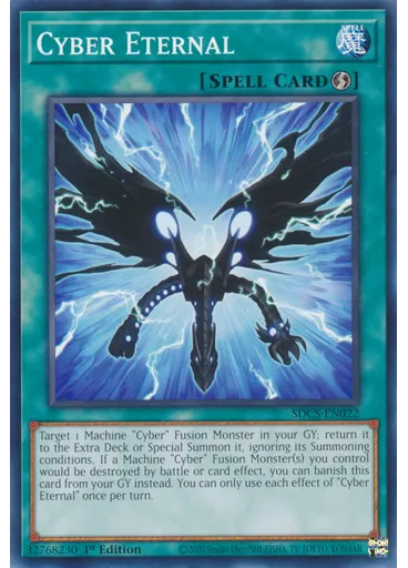 Cyber Eternal