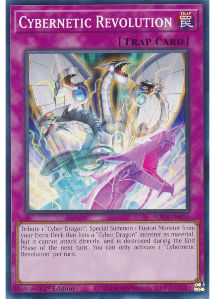 Cybernetic Revolution