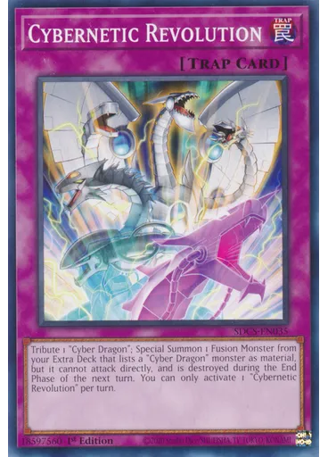 Cybernetic Revolution