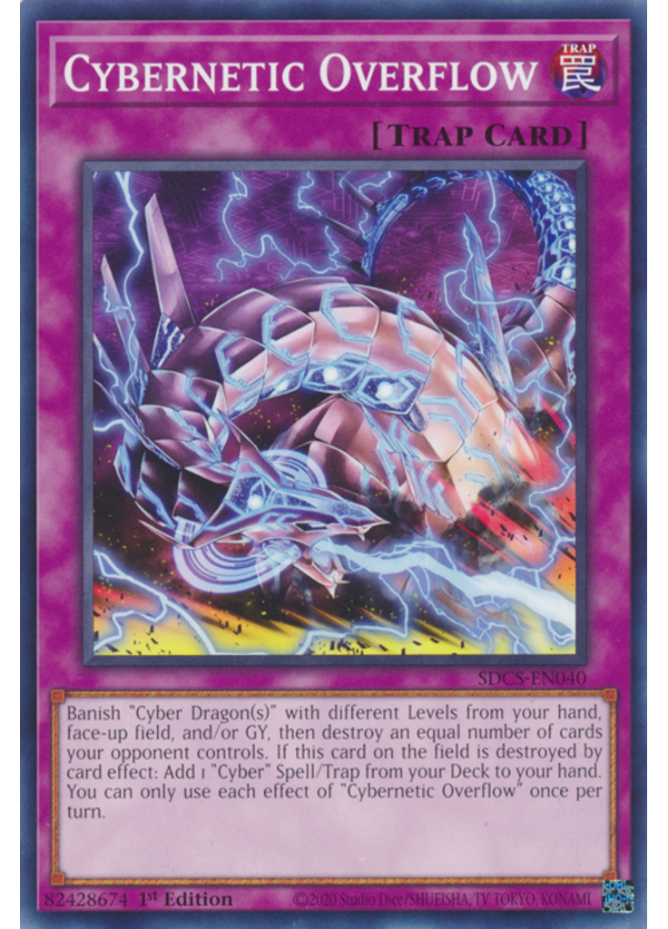 Cybernetic Overflow