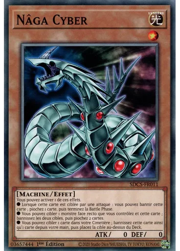 Nâga Cyber